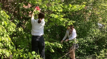 Isca Academy Earns RHS Level 1 Gardening Honour