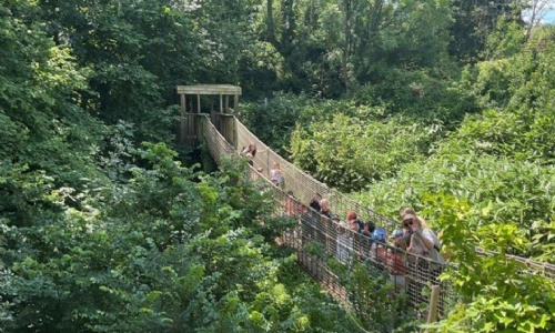 Matford Brook Academy Pupils on Paignton Zoo bridge 