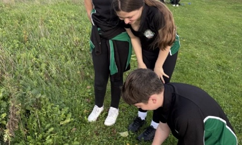 Cranbrook Students planting trees outside in the schools grounds