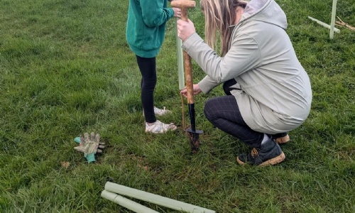 teaming-up-for-the-elbury-farm-project