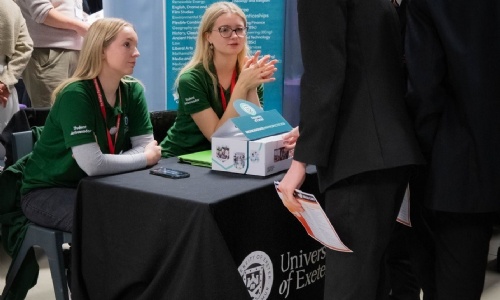 Students from Tor Bridge High talking to employers at careers fair