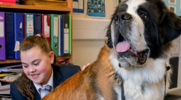 Local school shines a light on the work of their therapy dog this Children’s Mental Health Week